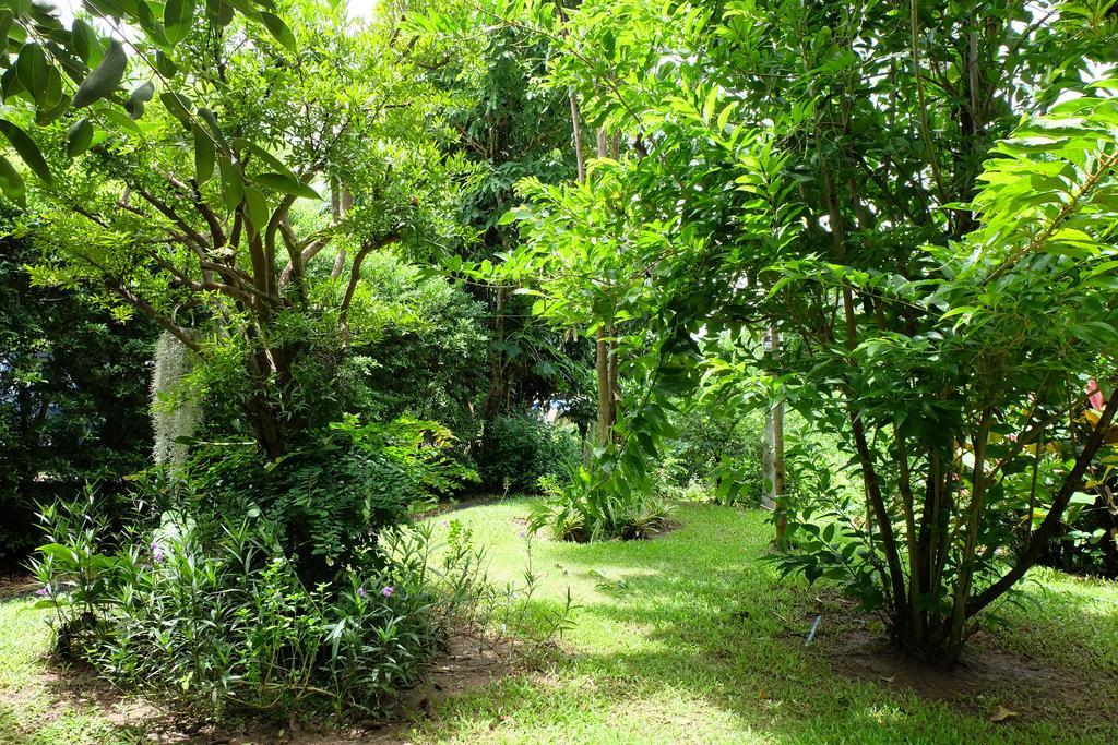 Rivercreek Estate Kaeng Krachan Exterior foto